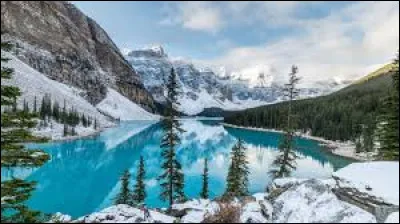 Complétez l'expression suivante : "Petit à petit, l'oiseau a fait son...