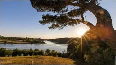 Complétez l'expression suivante : "Il n'y a pas le feu au...