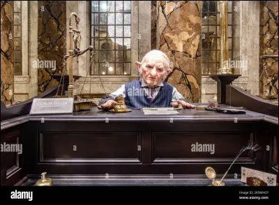 Comment sappelle un des gobelins sous limperium ?