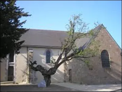 Je vous présente l'aubépine millénaire près de l'église de Saint-Mars-sur-la-Futaie. Village Mayennais, il se situe en région ...