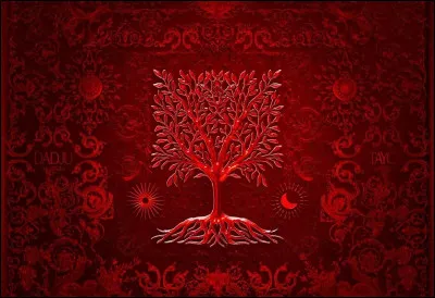 Comment s'appelle le disque que Dadju et Tayc ont sorti en février 2024 ?