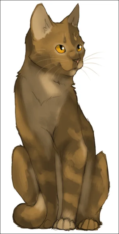 Si un jour tu tombes enceinte quelle r&eacute;action attends-tu de ton compagnon lorsque tu lui annonceras la nouvelle ?