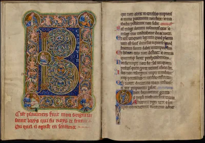 Top ! Je suis une forme d'art utilisée principalement au Moyen Âge pour décorer des manuscrits écrits à la main. Mon objectif est dembellir le texte avec des motifs complexes, souvent réalisées avec de lor, de la couleur et dautres matériaux précieux. Cette technique est très prisée pour ses détails minutieux et son impact visuel dans les livres anciens. Je suis