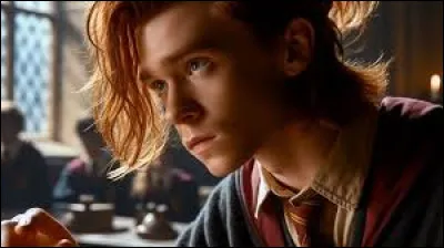 Bill rejoint l'Ordre du Phénix.