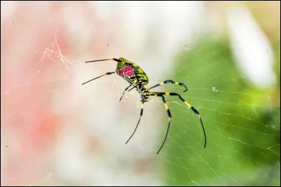 Quelle est ta pire peur ?