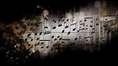 De quel instrument jouait-il tout particulièrement ?