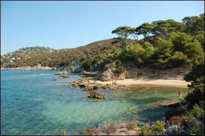 Top ! Je suis une petite île située en Méditerranée, au large de la Côte d'Azur, connue pour sa beauté naturelle et son caractère préservé. Longtemps associée à une communauté naturiste, je fais partie des îles d'Hyères. Mon accès est strictement contrôlé et mes plages sont réputées pour leur tranquillité. Je suis