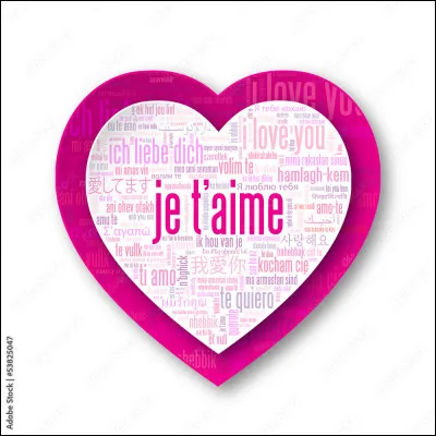 C'est [décidait], je lui fais ma déclaration ce soir !