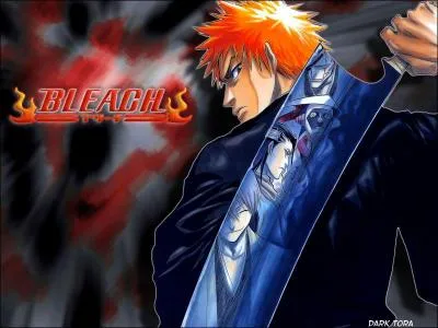 Comment s'appelle son zanpakuto?