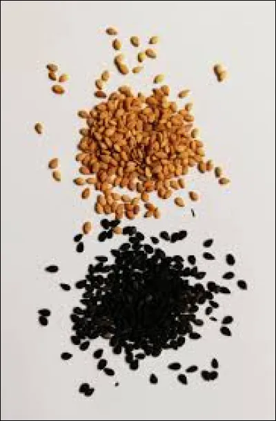 Qui est le fr&egrave;re de Pelage de Graine ?