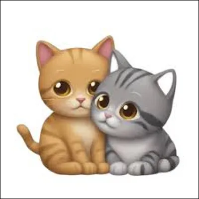 Comment Vent Vif et Poil d'Ajonc s'appelaient-ils lorsqu'ils &eacute;taient chats errants ?