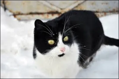 Qui est la compagne de Pic Crochu ?