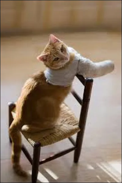 Comment Pic Crochu s'est-il mis &agrave; boiter ?