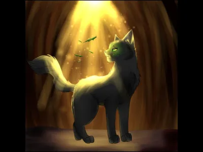 Quelles qualités recherches-tu le plus chez ta compagne ?