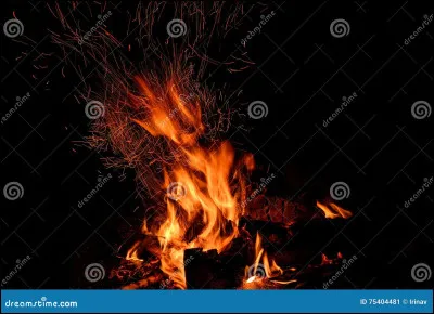 Dans le livre cycle 1, quels chats qui étaient de très bons amis ne faisaient que se disputer ?