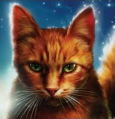 Quel est ton objectif dans la vie ?