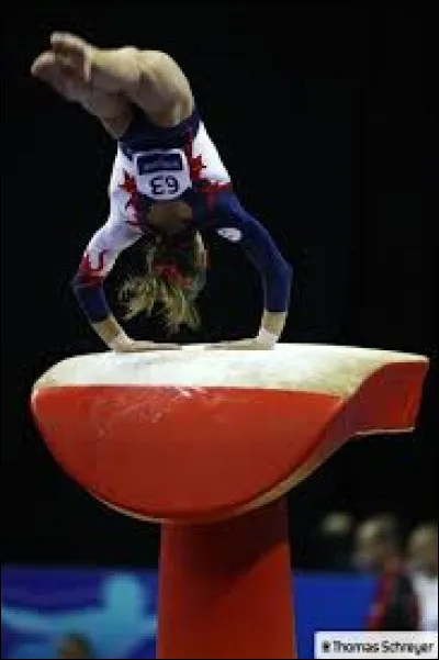 Quel est cet agrès ?