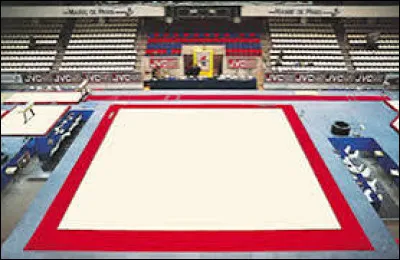 Comment se nomme cet agrès ?