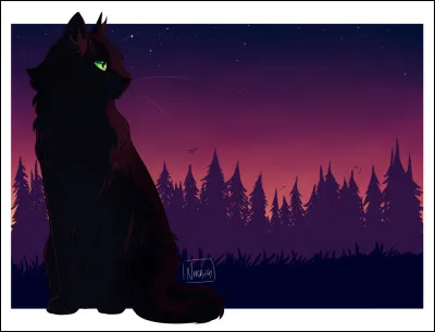 Pour essayer de limiter le spoil, je vais faire en sorte que mes questions ne portent pas plus loin que la fin du cycle 5. 
Bon, "actuellement", le chef est Étoile Fauve. Combien y a-t-il eu de chefs avant lui ?