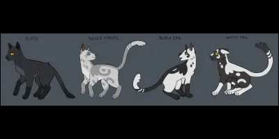 Comment sont la plupart des guerriers de ce clan ?