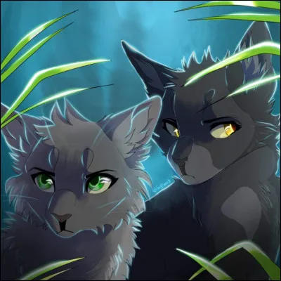 Et le second camp, celui qui est sur le nouveau territoire, où se situe-t-il ?