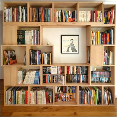 Quel est ton type de livre pr&eacute;f&eacute;r&eacute; ?