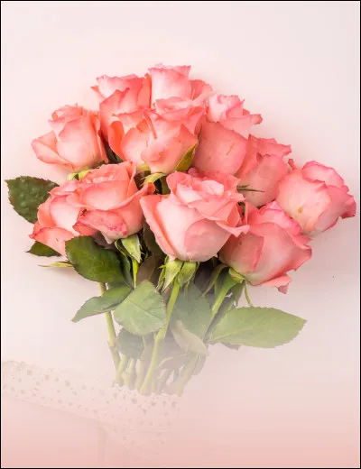 Aimes-tu les jeux de r&ocirc;le ?