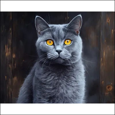 Quelle est cette race de chat ?