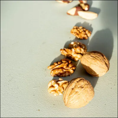 Aujourd'hui, c'est ton évaluation finale. Truffe de Miel te met avec Nuage Brun pour l'épreuve de chasse. Tu ignores Nuage Brun pendant tout le test et à la fin tu ramènes...