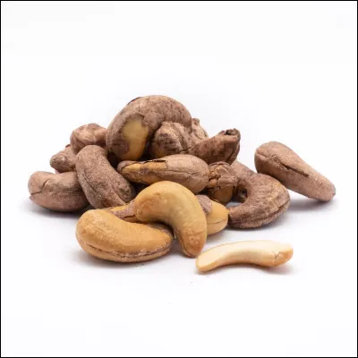 Tu as des chatons avec Poil de Neige, l'ancien(ne) Nuage de Neige. Comment veux-tu les appeler ?