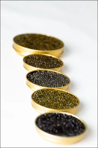 Le caviar Almas est laliment le plus rare.