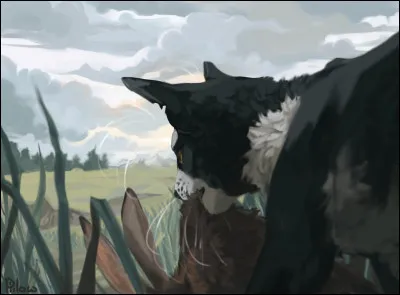 Et enfin, qui fut le chat qui a nommé le Clan du Vent ainsi ?