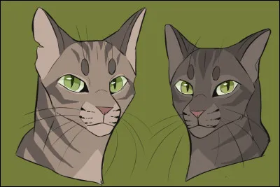 De quoi ce clan se vantait-il le plus sur l'ancien territoire ?