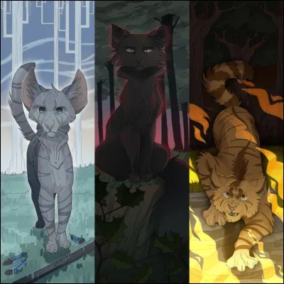 Et le second camp, celui qui est sur le nouveau territoire, où se situe-t-il ?