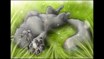 Qui fut le premier guérisseur de ce clan ?