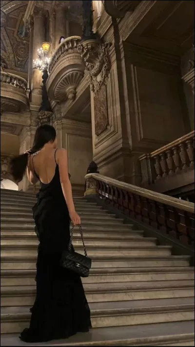 Si tu devais choisir un collier, ce serait...