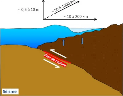 Les séismes sous-marins peuvent provoquer des tsunamis dans la région des Antilles.