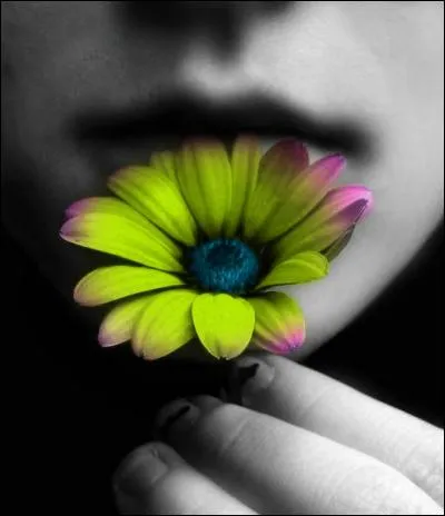 Qui a écrit l'Ecole des femmes ?