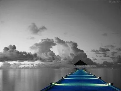 Complètez cette chanson de Polnareff : Je te donnerai tous les bâteaux, tous les oiseaux, tous les soleils, toutes les roses toutes les choses qui t'émerveillent... . :