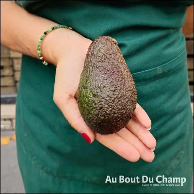 Est-ce un gâteau ou pas ?