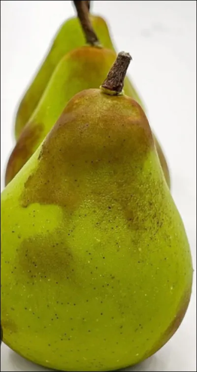 Est-ce un gâteau ou pas ?