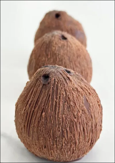 Est-ce un gâteau ou pas ?