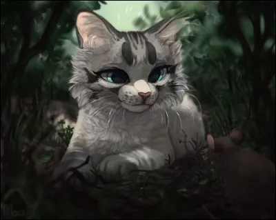 Et enfin, qui fut le chat qui a nommé le Clan de la Rivière ainsi ?