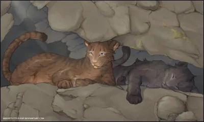 Pour essayer de limiter le spoil, je vais faire en sorte que mes questions ne portent pas plus loin que la fin du cycle 5. 
Bon, "actuellement", la cheffe est Étoile de Brume. Combien y a-t-il eu de chefs avant elle ?