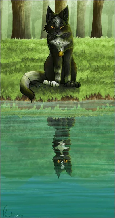 Quelle habitude ont les guerriers de la Rivière que les autres clans trouvent "inutile" ?