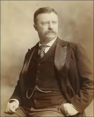 Theodore Roosevelt fut le président des États-Unis au cours du XIXe siècle.
