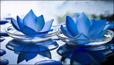 Dans "Le Lotus bleu", qui Tintin sauve-t-il de la noyade ?