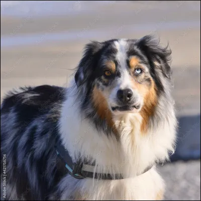 De quelle couleur sont tes yeux ?