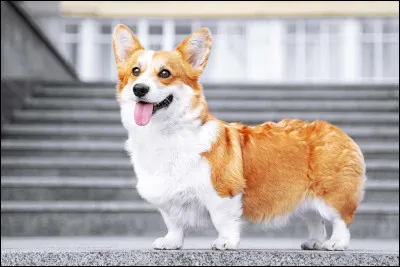 Quel pull mettrais-tu pour aller au collège ?