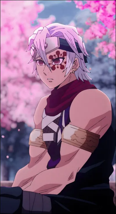 Tengen Uzui : après son combat contre quelle Lune Supérieure a-t-il pris sa retraite ?